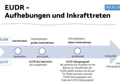 EU-Verordnung für entwaldungsfreie Produkte (EUDR)
